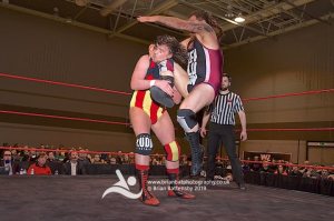 57038414_2600942899947461_3501641734977224704_n