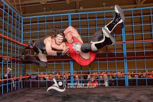 57368701_2600944339947317_4440672661357461504_n